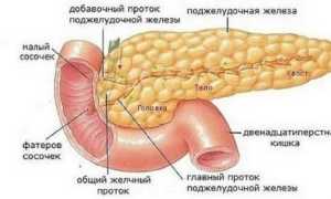 Опухоль поджелудочной железы