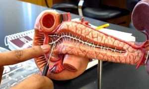 Что такое панкреатит?