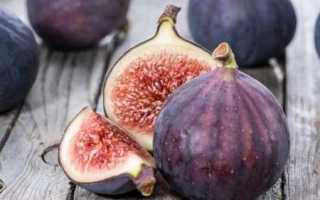 Разрешается ли есть инжир при заболевании сахарным диабетом (с рецептами)