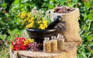 Какие травы пить при сахарном диабете для снижения сахара: полезный перечень