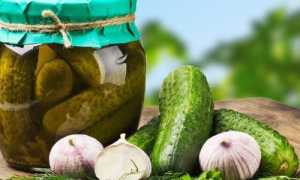 Можно ли употреблять огурцы при воспалении поджелудочной железы?