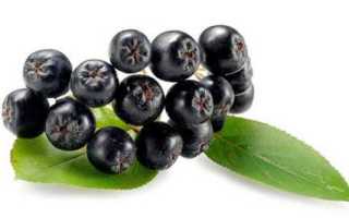Черноплодная рябина при диабете – лечебные свойства, польза и вред