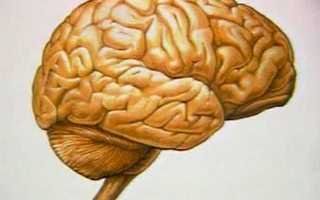 Отек головного мозга у детей и взрослых : причины, лечение и последствия