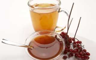 Полезные свойства калины с медом, возможный вред продукта