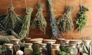 Как лечить сахарный диабет в домашних условиях: помощь народных средств