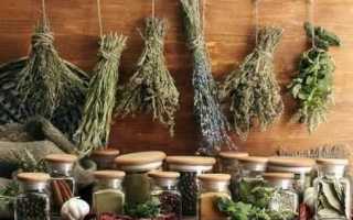 Как лечить сахарный диабет в домашних условиях: помощь народных средств