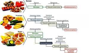 Ферментные препараты для поджелудочной железы