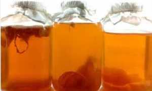 Как пить чайный гриб при сахарном диабете