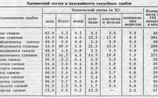 Можно ли грибы при панкреатите