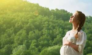 Можно ли принимать Иберогаст во время беременности и при кормлении грудью?