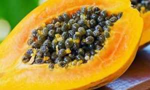 Можно ли есть папайю при панкреатите: польза и вред фрукта?