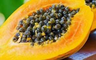 Можно ли есть папайю при панкреатите: польза и вред фрукта?