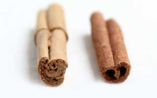 Отличия кассии от корицы, польза и вред пряности