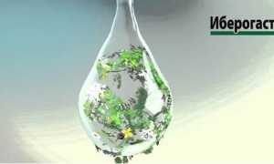 Как пить Иберогаст: дозировка и время приёма