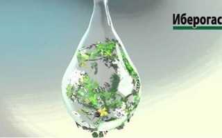 Как пить Иберогаст: дозировка и время приёма