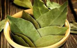 Народные средства — лавровый лист при сахарном диабете 2 типа