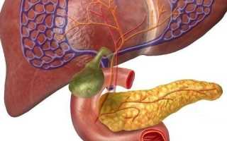Особенности анатомии: где находится у человека поджелудочная железа?
