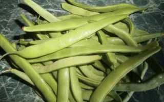 Помощь стручков фасоли при сахарном диабете: как правильно заваривать