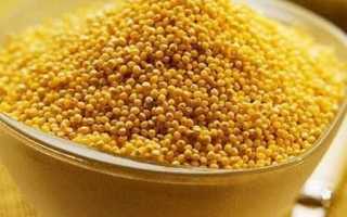 Можно ли есть пшенную кашу при диабете 2 типа и как ее приготовить?