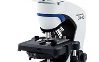 Преимущества Olympus CX43 для профессиональной микроскопии
