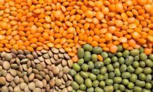 Как есть чечевицу при диабете разрешенные рецепты