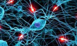 Что такое диабетическая невропатия нижних конечностей и как ее лечить?