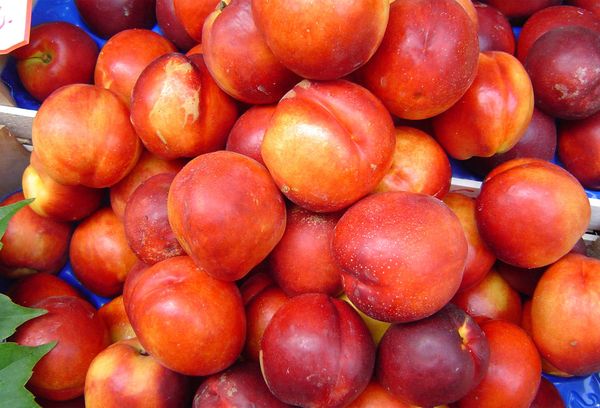 Сладкие фрукты, красные нектарины