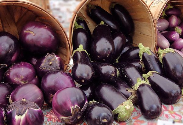 баклажаны двух сортов