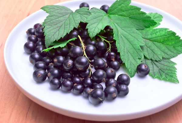 черная ягода