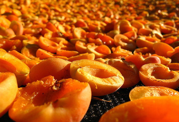 Сушка абрикосов
