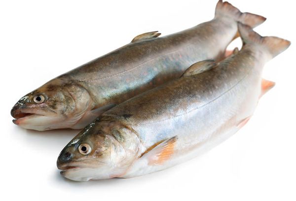 Свежая рыба