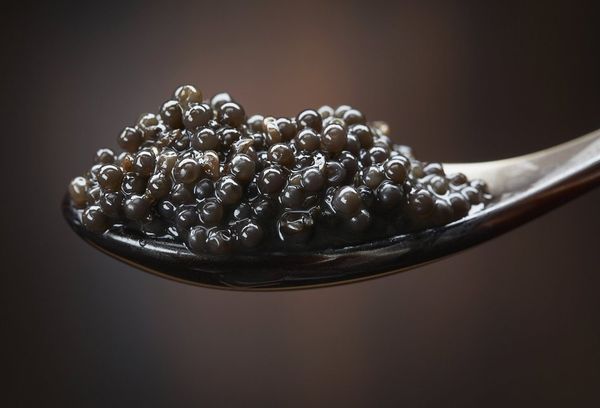 Икра на ложке