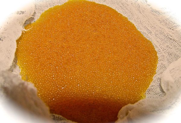 процеживание икры