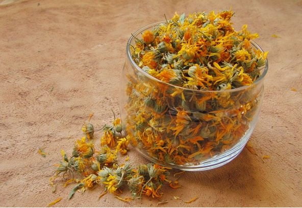 Отвар календулы