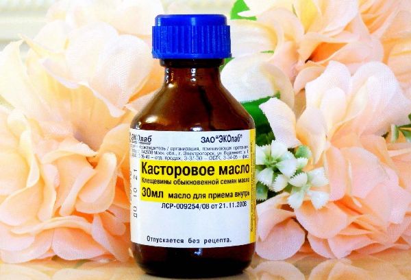 касторка