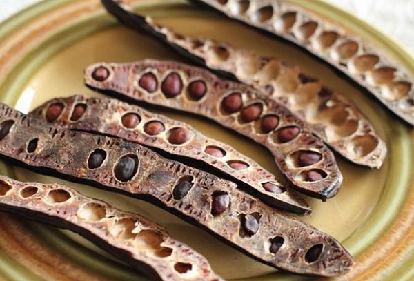 стручки рожкового дерева