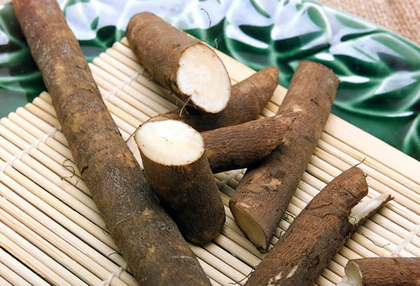 Свежий корень лопуха