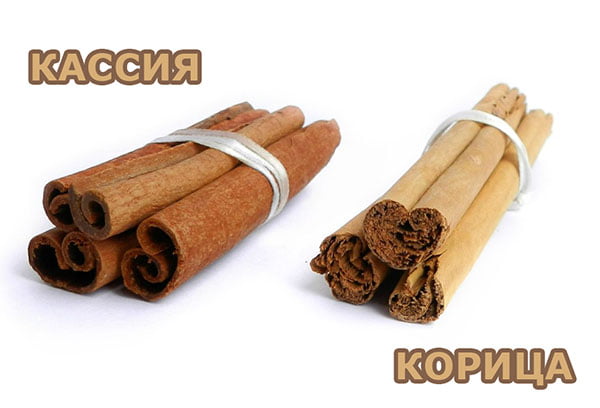Кассия и корица