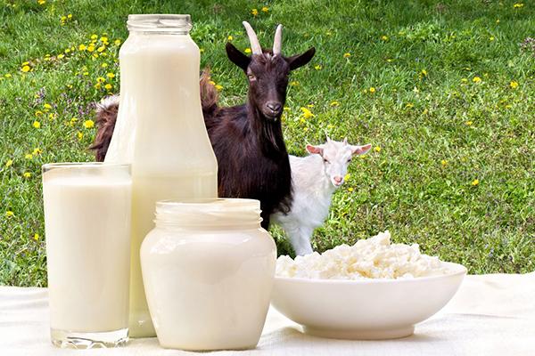 Козы и продукты из козьего молока