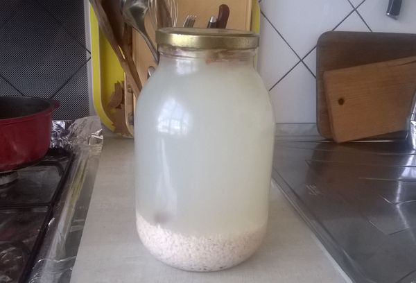 рисовый квас