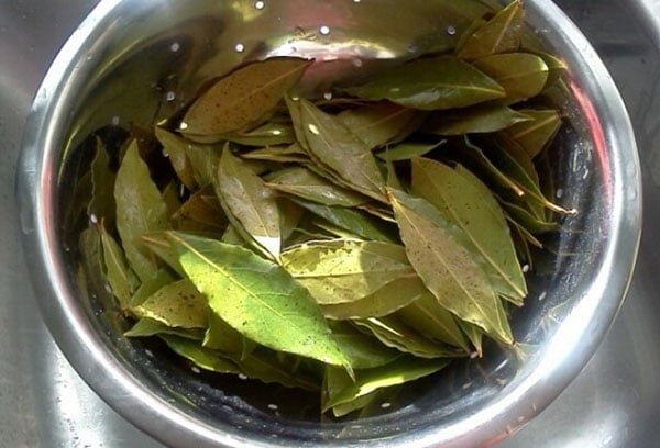 Промывание листьев лавра