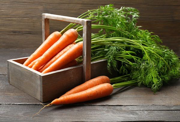 морковка с ботвой