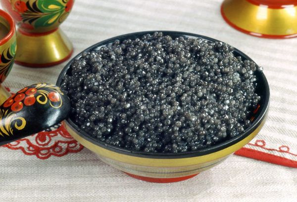 черная икра палтуса