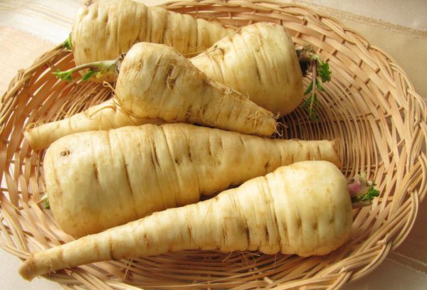 Корнеплоды пастернака