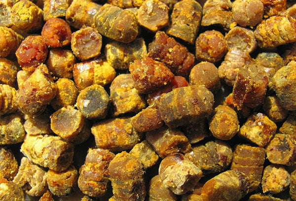 Пчелиная перга