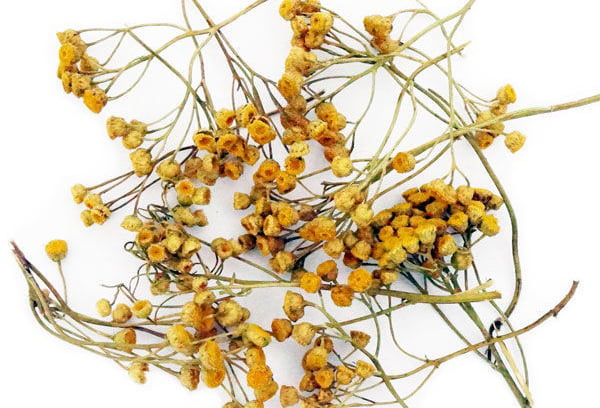 Сушеная пижма