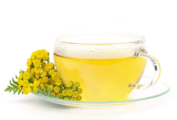 Отвар из пижмы