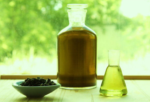 Отвар из пчелиного подмора