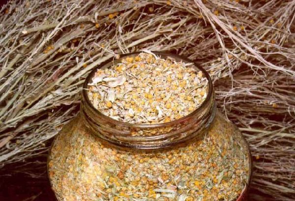 Полынь сухая