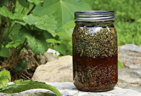 Настой полыни